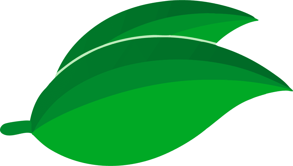 Ilustração vetorial de duas folhas verdes sobrepostas.