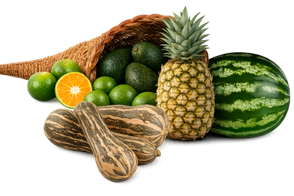 Cesta derramada com abacates, limões e laranja; ao lado, abacaxi, melancia e abóboras.